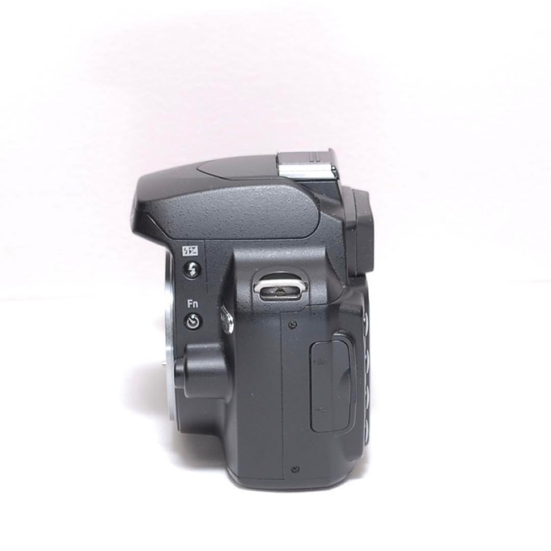 ✨万能レンズ✨Nikon D40X✨簡単操作✨シングルレンズ✨近くから遠くまで✨