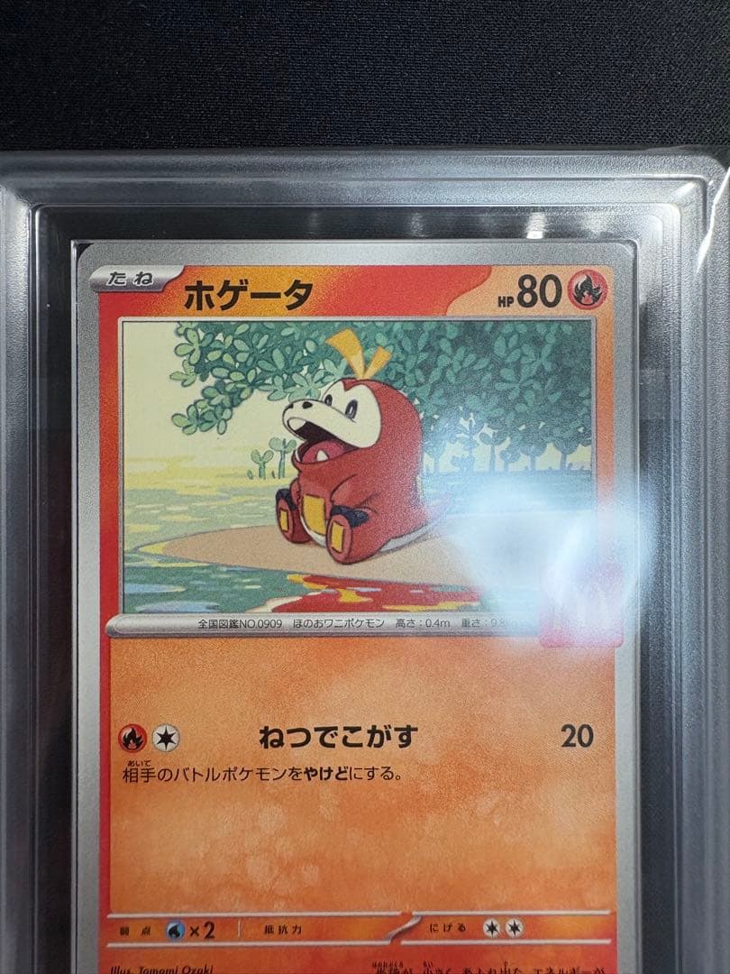 【ARS10】マクドナルド ハッピーセット ホゲータ プロモ 018/M-P