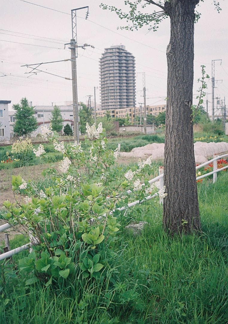 ラグランスリーブ【整備品】オリンパス　ペンEE-2　フィルム試写あり