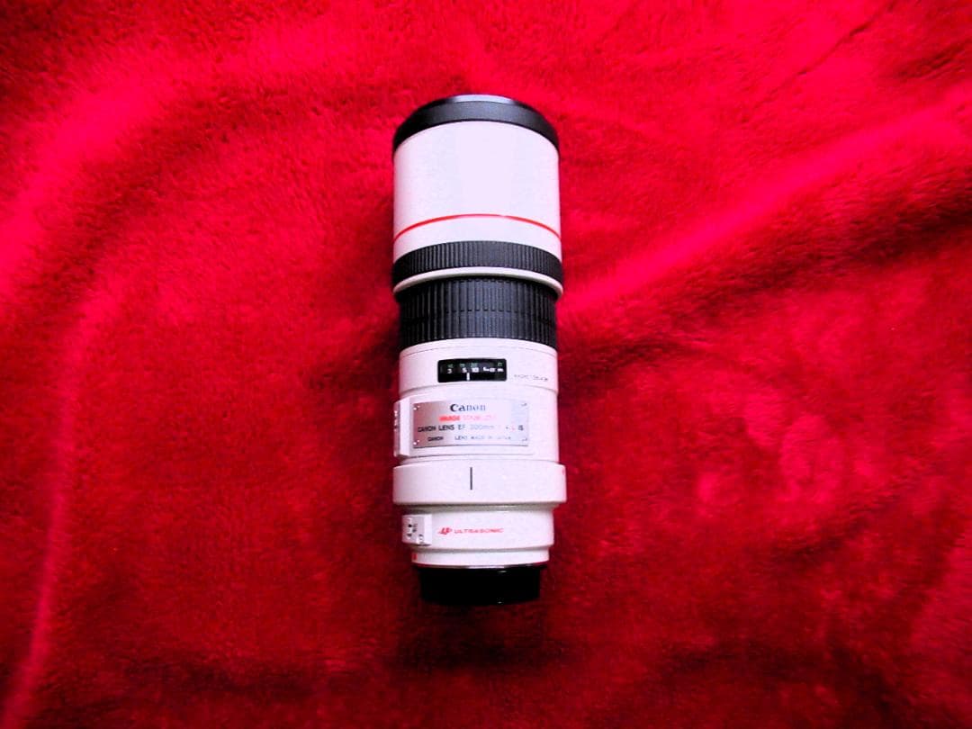 キャノン EF300mm F/4L IS USM (EFレンズ単焦点）