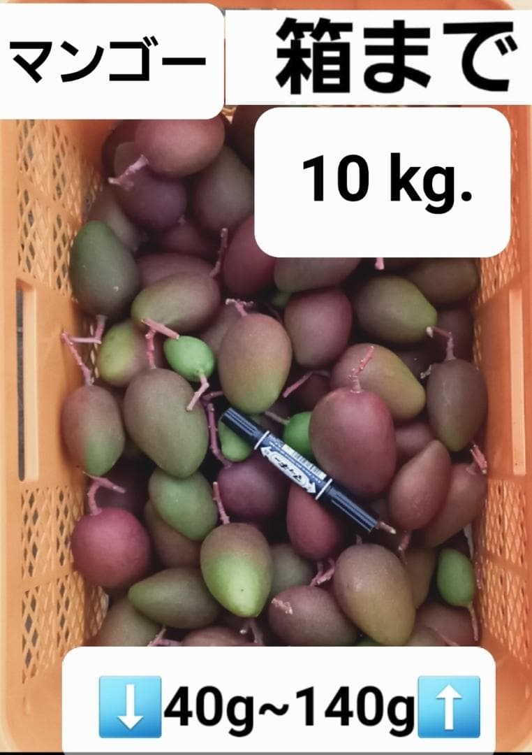 マンゴー+摘果 /10 kg including box