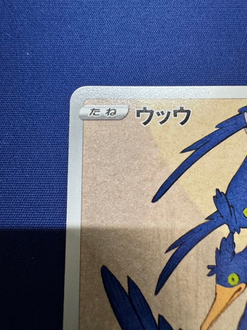 ポケモンカード 見返り美人 ピカチュウ ウッウ プロモ