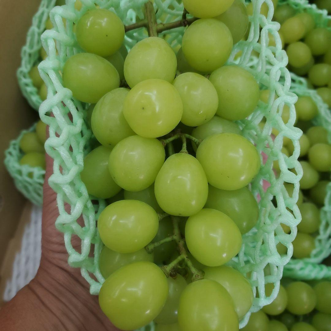 3️⃣ 山梨県産 シャインマスカット 11房入り 箱込み5.3キロ