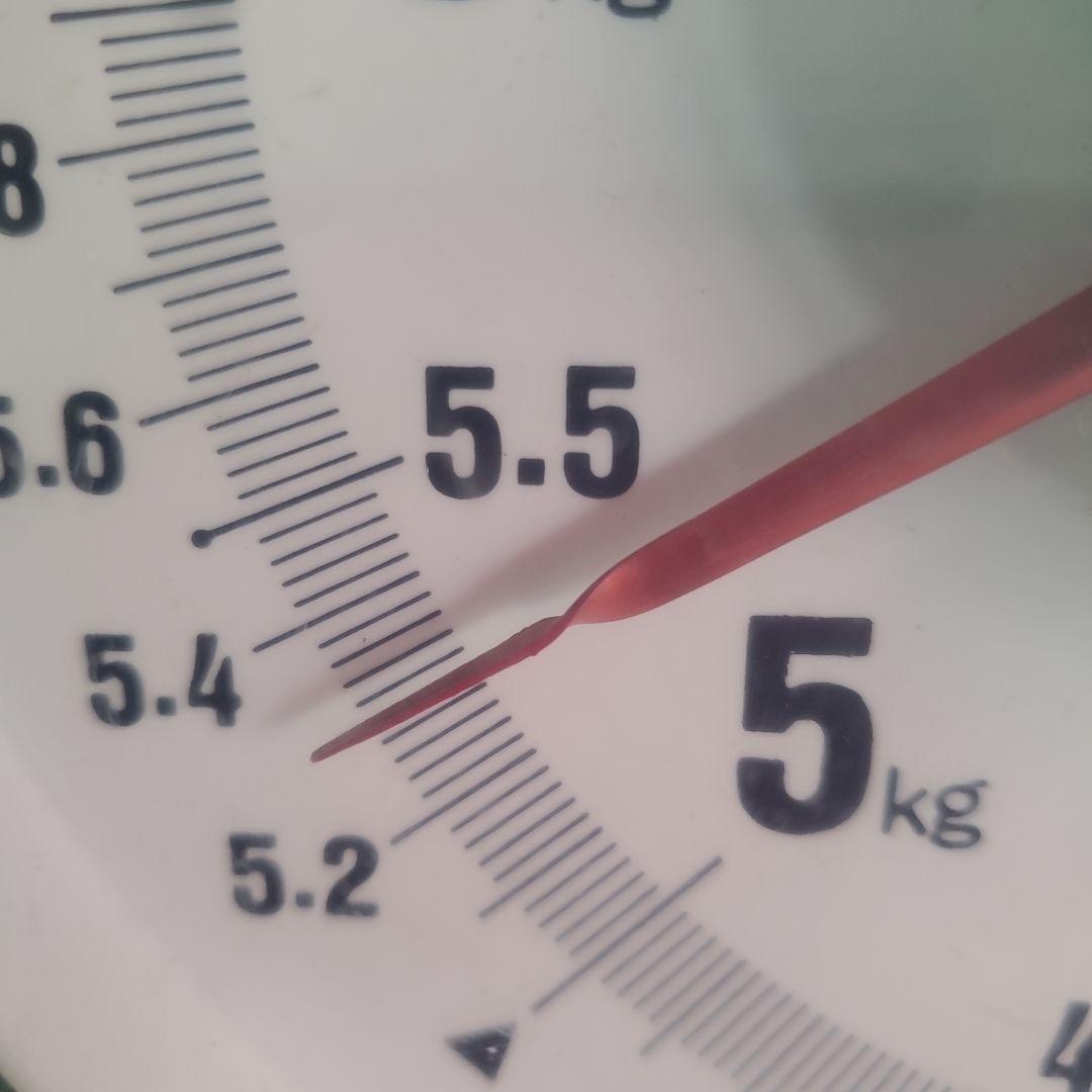 3️⃣ 山梨県産 シャインマスカット 11房入り 箱込み5.3キロ