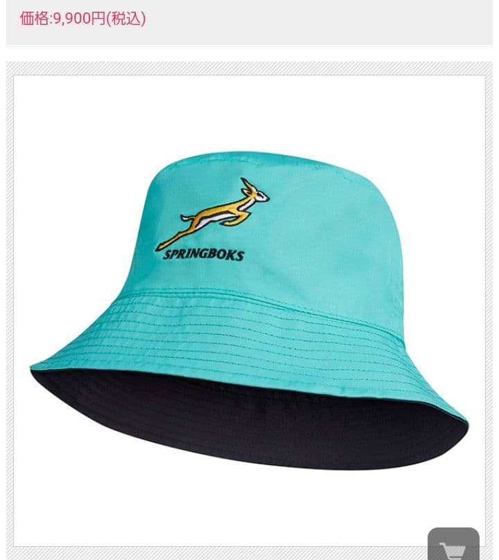 ラグビー　スプリングボクス　ナイキ　南アフリカ　バケットハット