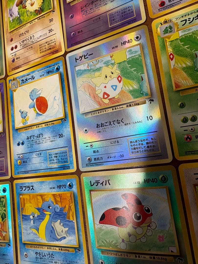 サザンアイランドコンプリートセット/ルギア爆誕の劇場プロモ ポケモンカード旧裏