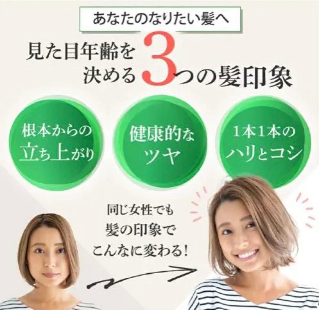 アースハート ボリュームアップ シャンプー (300ml) 4本