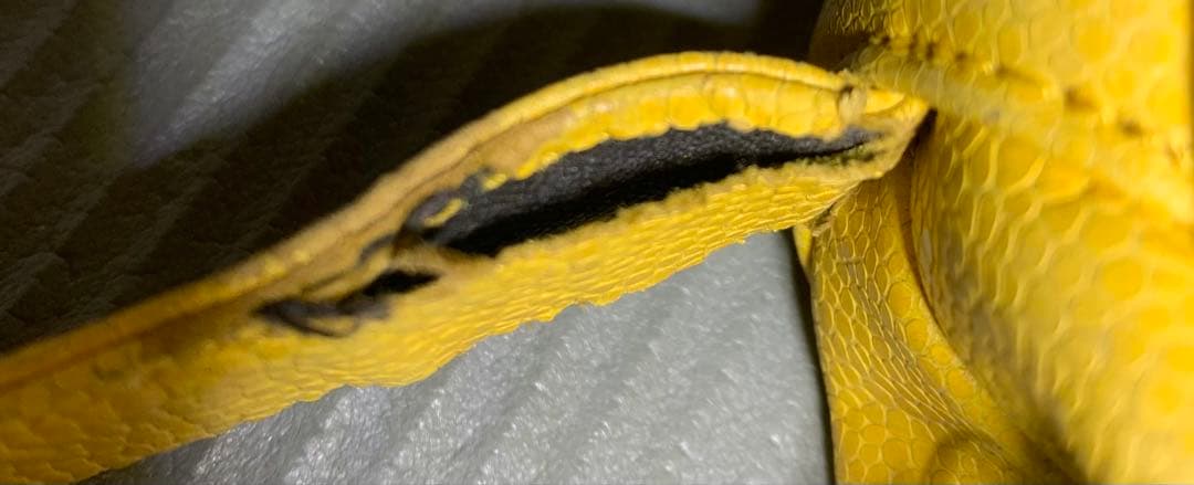 vivienne westwood ショルダーバッグ　丸型　ヴィンテージ