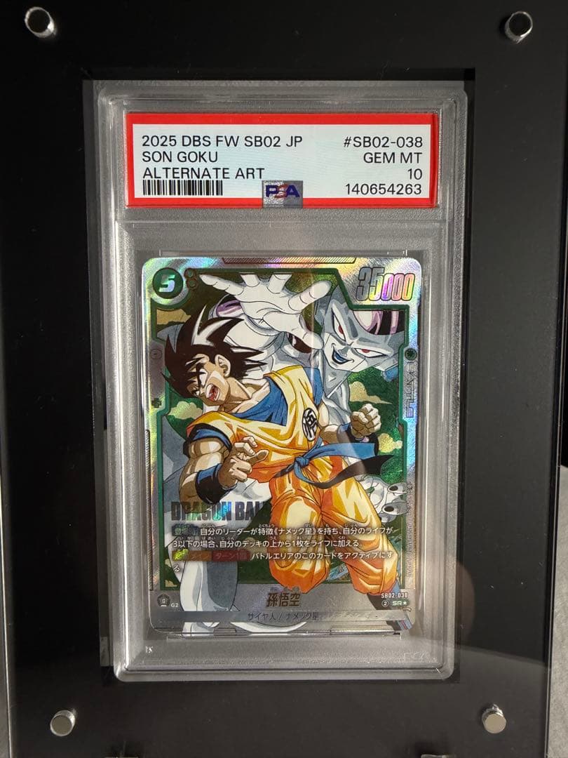 2025 DBS FW SB02 JP ソンゴクウ オルタネートアート