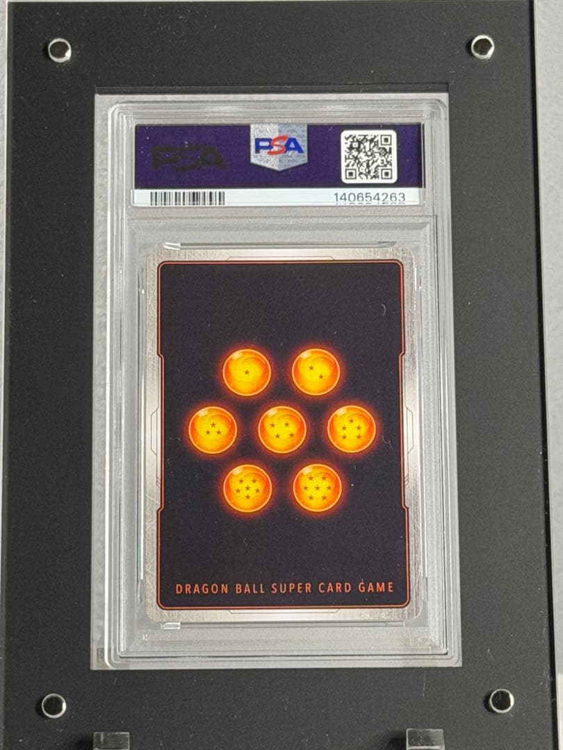 2025 DBS FW SB02 JP ソンゴクウ オルタネートアート