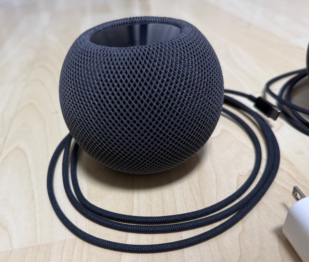 Apple Pod mini スペースグレイ 2個セット ステレオペア