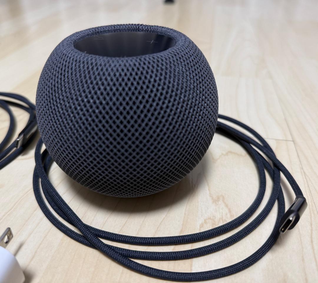 Apple Pod mini スペースグレイ 2個セット ステレオペア