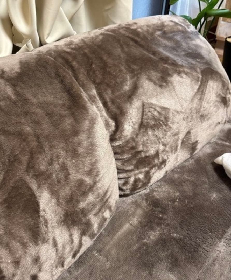 ベルメゾン　洗えるローソファ　ブラウン