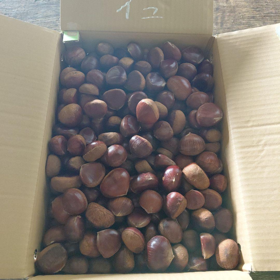 厚保 栗 10kg優品