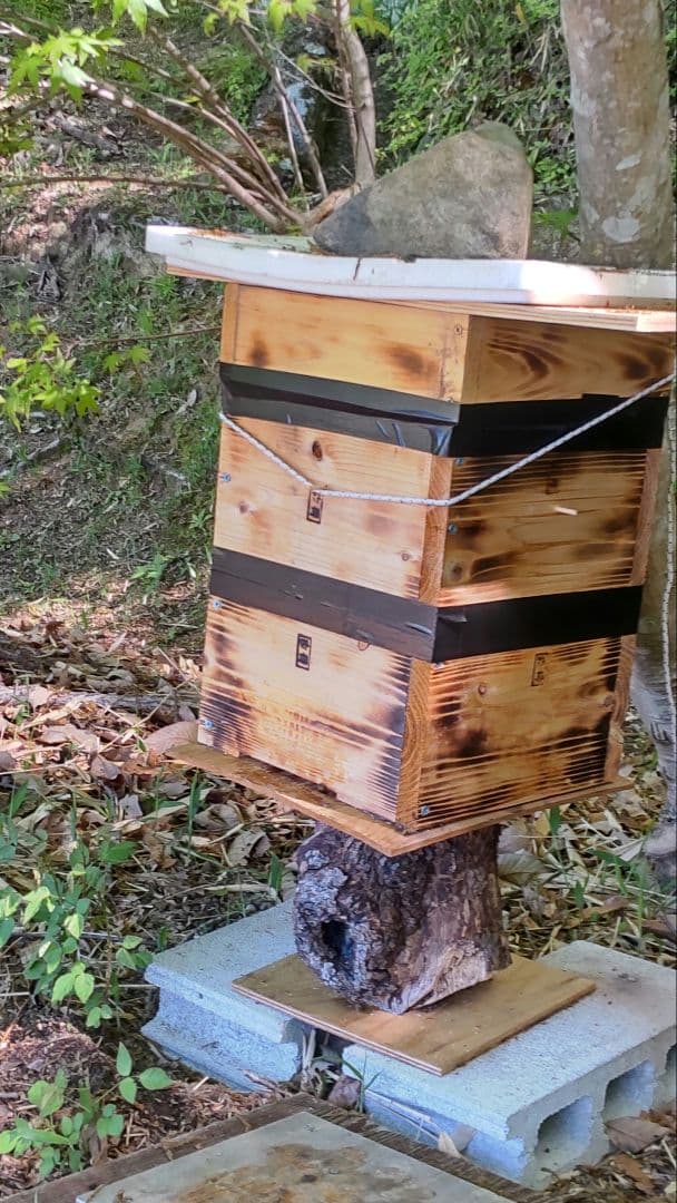 日本蜜蜂百花蜂蜜 天然非加熱無添加６００グラム２本