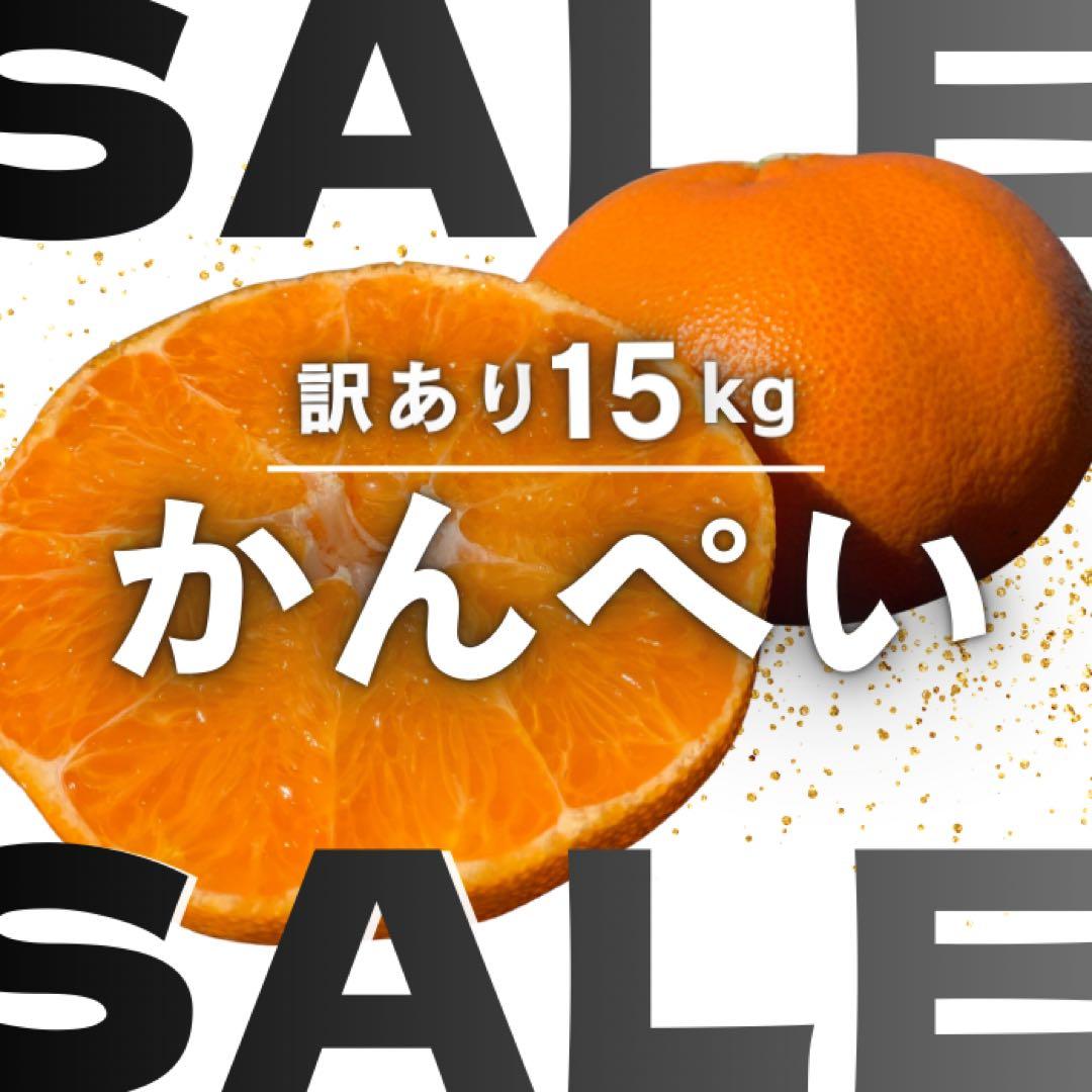 【甘平】約15kg 訳あり サイズ混合 かんぺい 柑橘 みかん 家庭用 農家直送