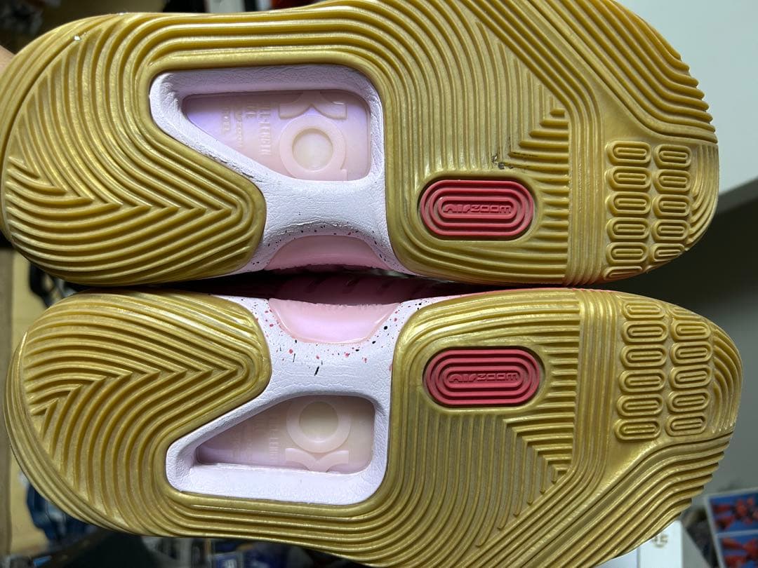 KD 14 アント パール Nike KD14 EP “Aunt Pearl”