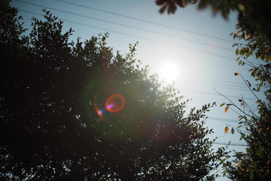 SIC【極美品】ニコン Ai-s Nikkor 50mm F1.4 866