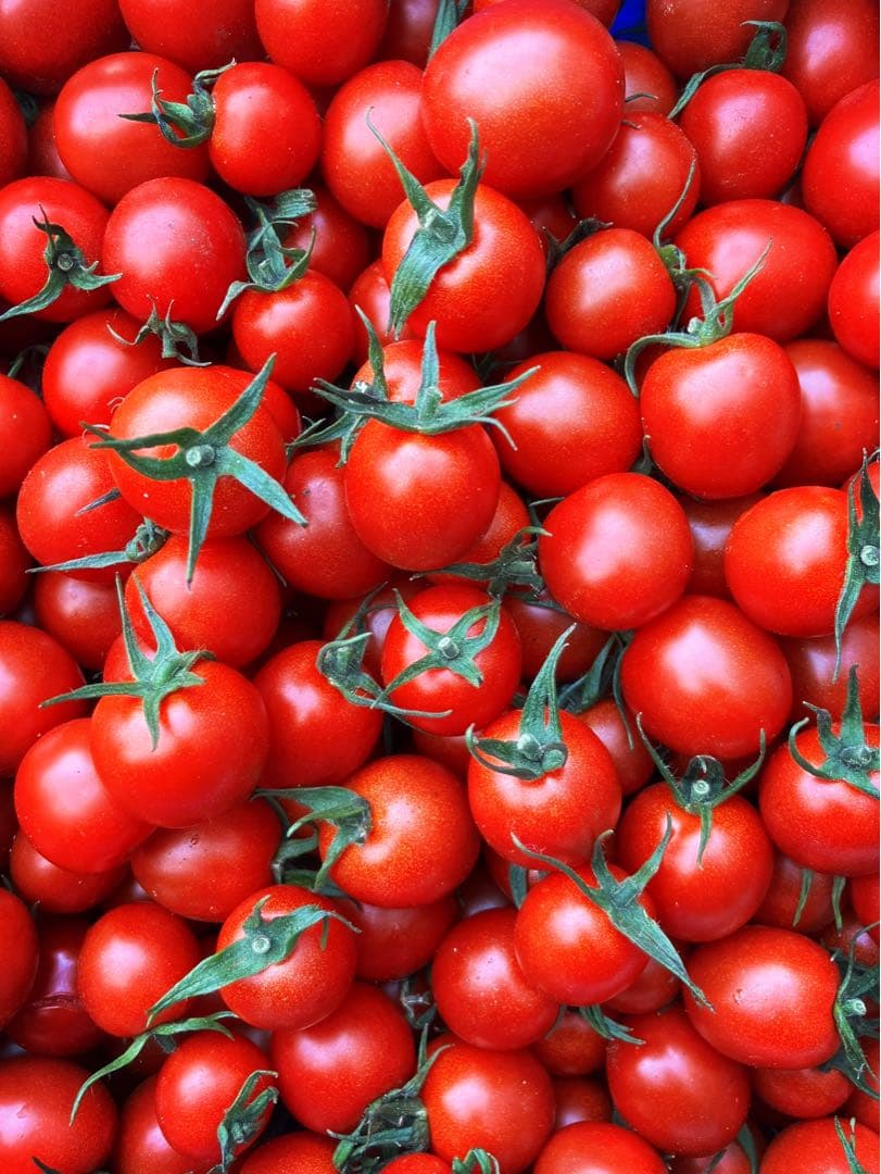 ミニトマト　9kg ⭐️日曜限定100円引き⭐️