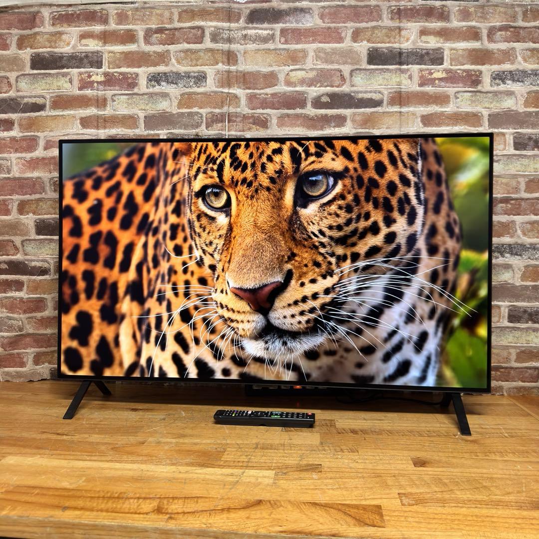 LG 48インチ 4K 有機ELテレビ OLED48A2PJA 動画アプリ搭載
