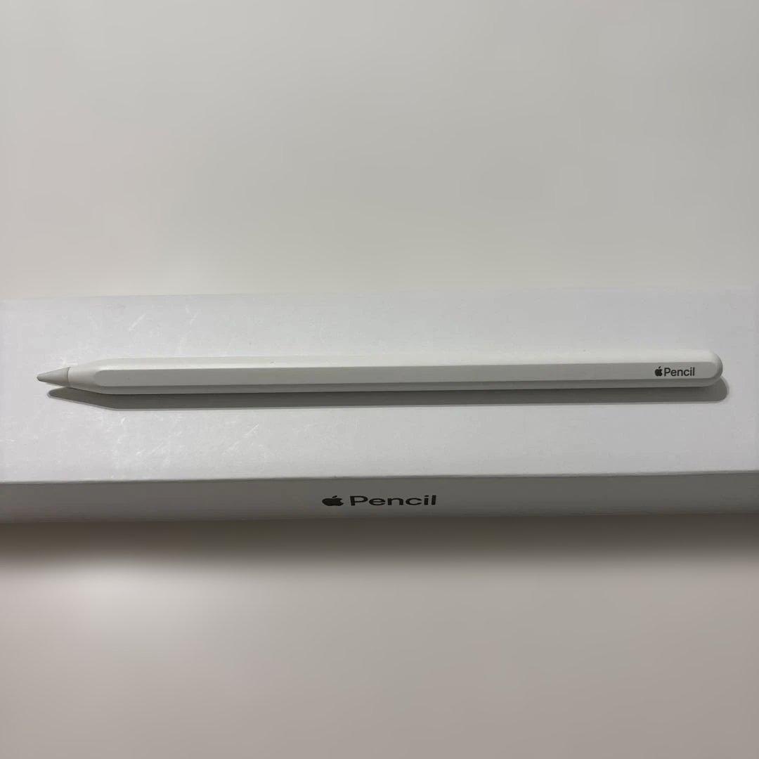 iPad pro 第二世代 11インチ 256GB Apple pencil付き
