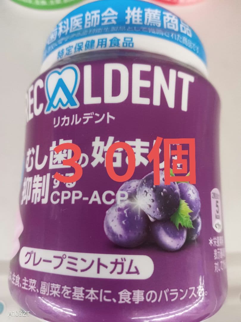 リカルデントボトルガム140g✕30個 　グレープミント