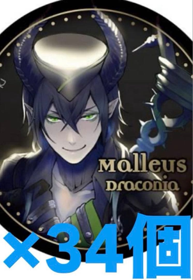 マレウス・ドラコニア トレーディング缶バッチ 棺