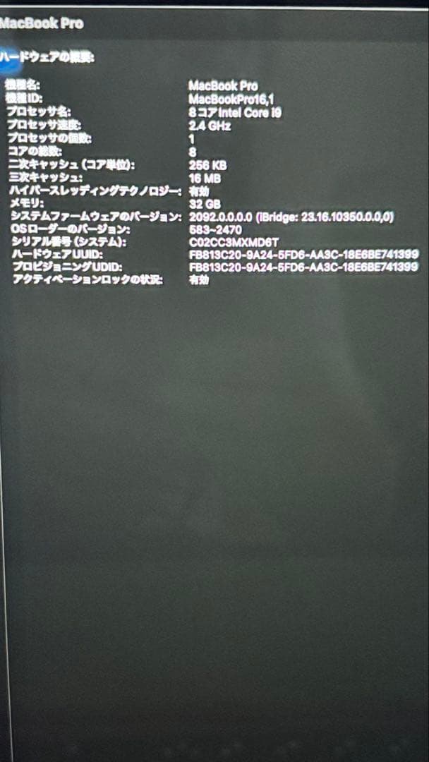 優*ん様 MacBook Pro 2019 16インチ32GB 256GBスペー
