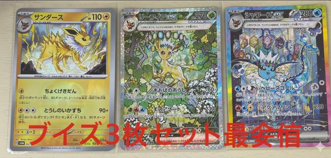 り*ー様 テラスタルフェス　　リーフィア、シャワーズSARマスボセット