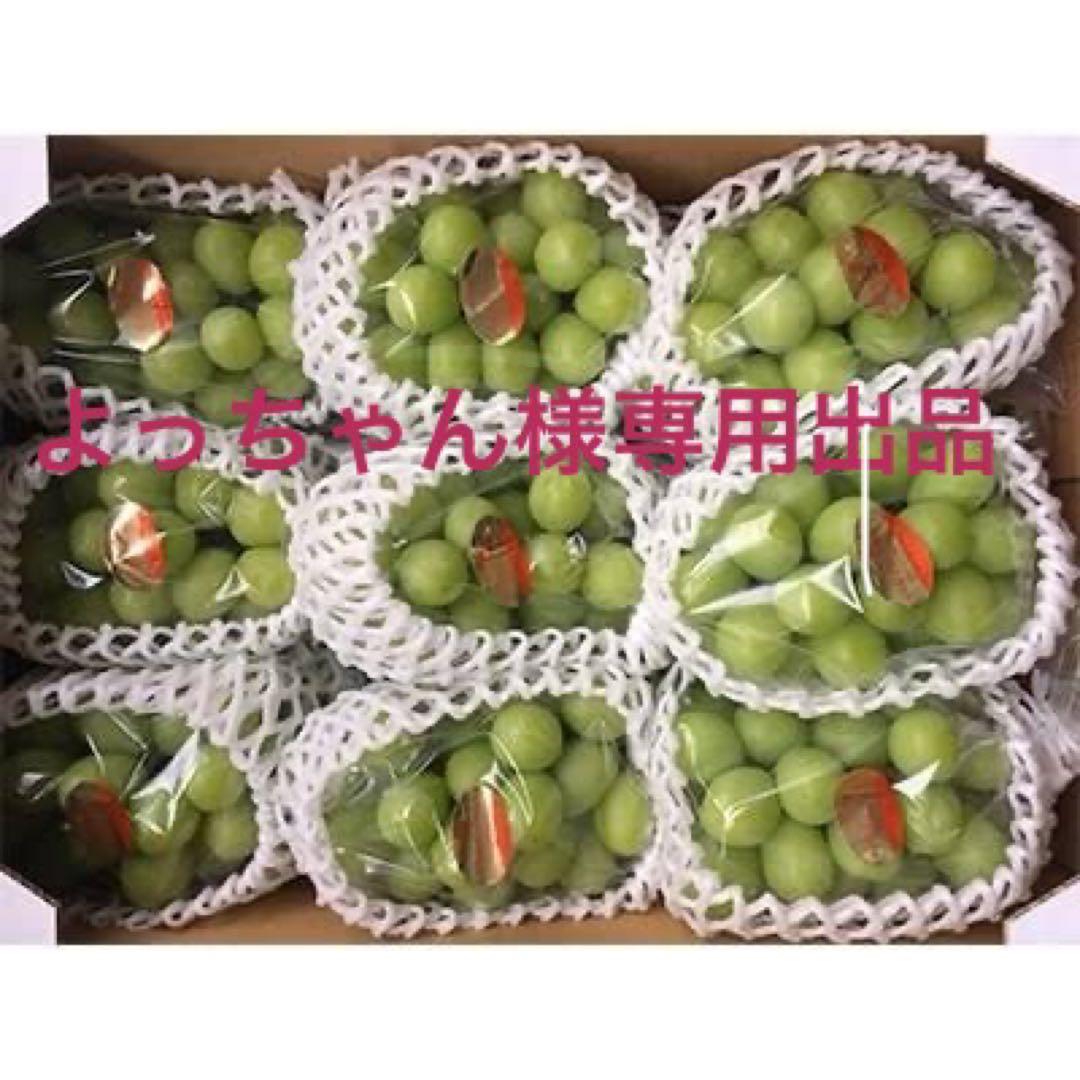 よっちゃん出品　岡山産シャインマスカット5kg