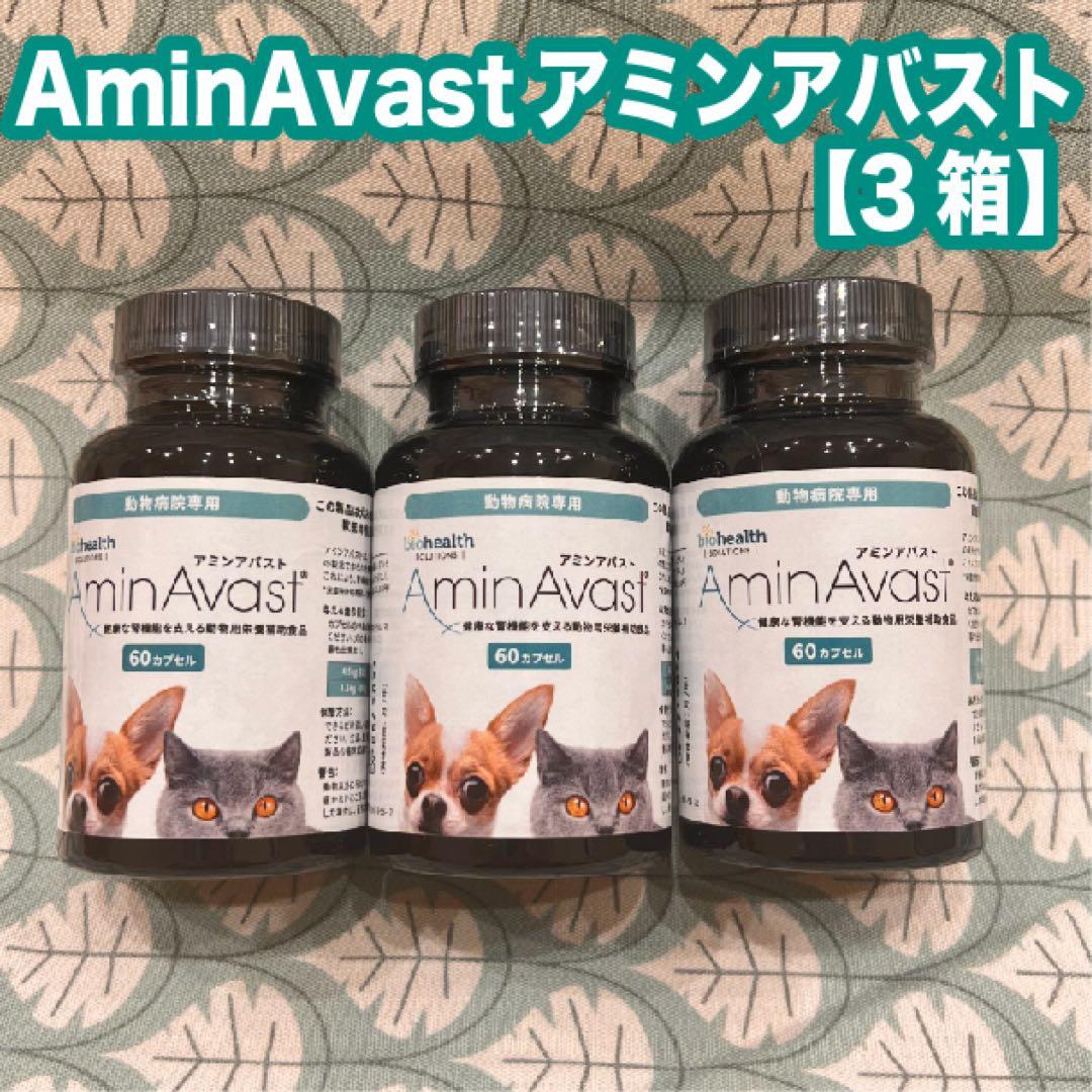 アミンアバスト300mg 犬猫用　60カプセル　3箱