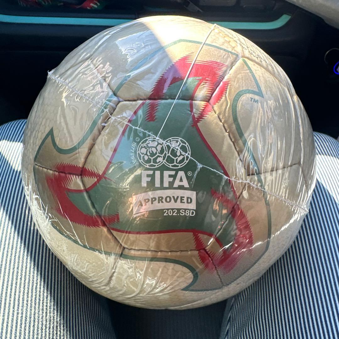 新品2002 FIFAワールドカップ公式試合球 FEVERNOVA