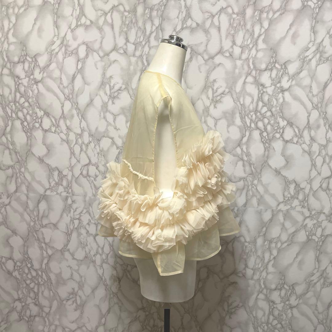 美品　HeRIN.CYE シフォン　メニーギャザーアタッチメントベスト　フリル