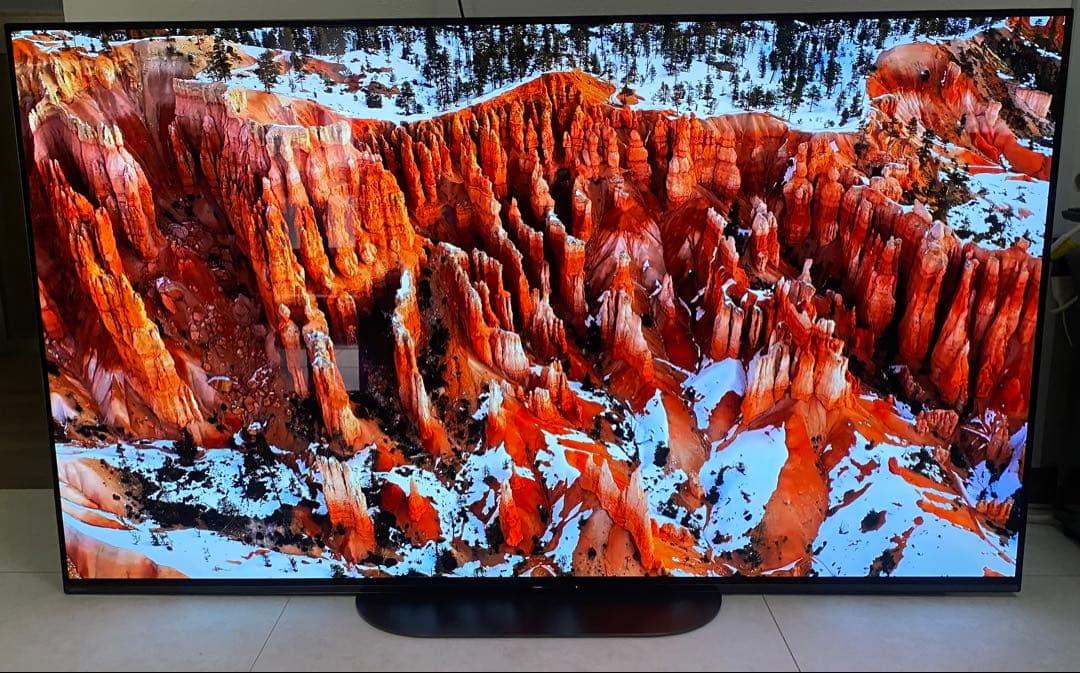 SONY BRAVIA 55インチ 4K 有機ELテレビ KJ-55A9G