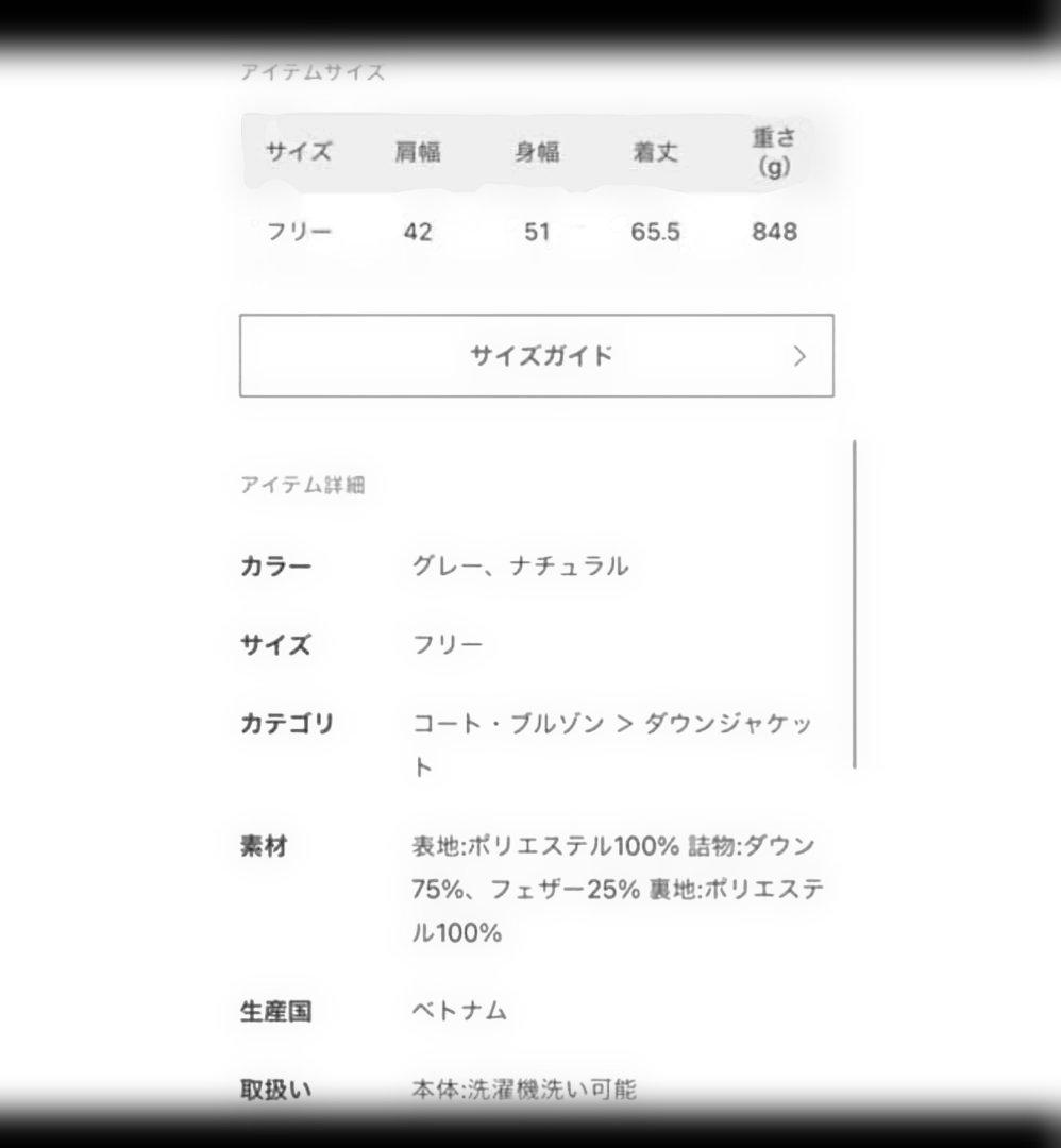 トップス patagonia Men's ReversibleBivy Down Vest