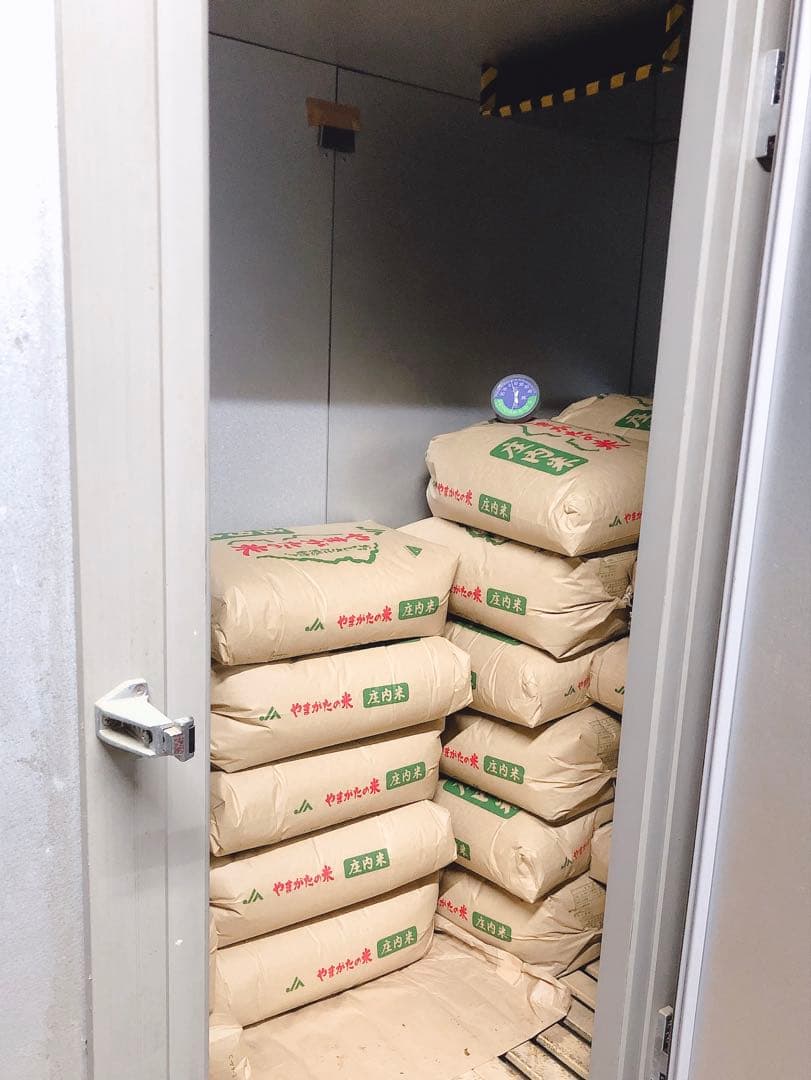 【リー】山形県庄内産　令和7年新米コシヒカリ23kg