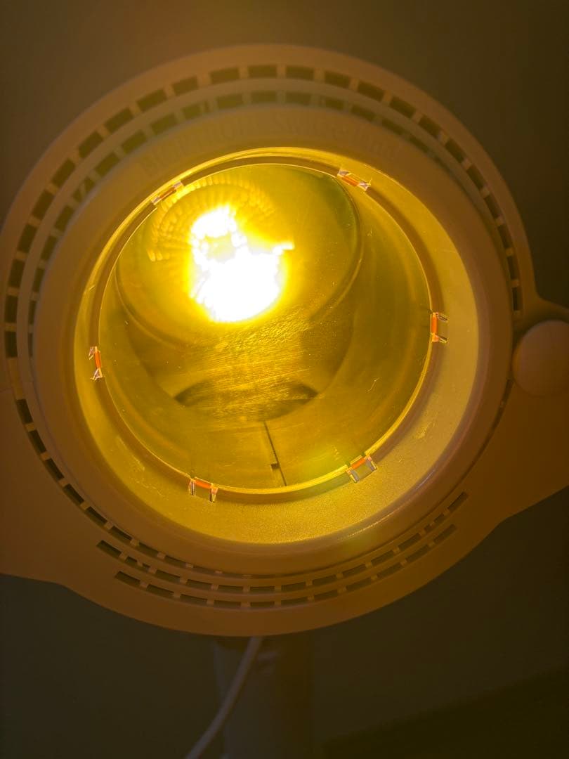 光治療装置BIOPTRON Pro 1 箱付き