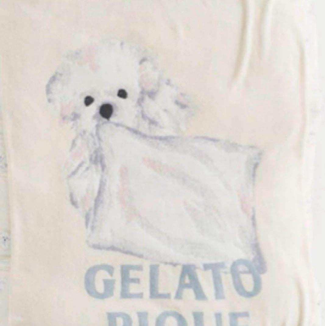 新品　ジェラートピケ　スリープ　DOG柄　ブランケット　毛布　マルチーズ