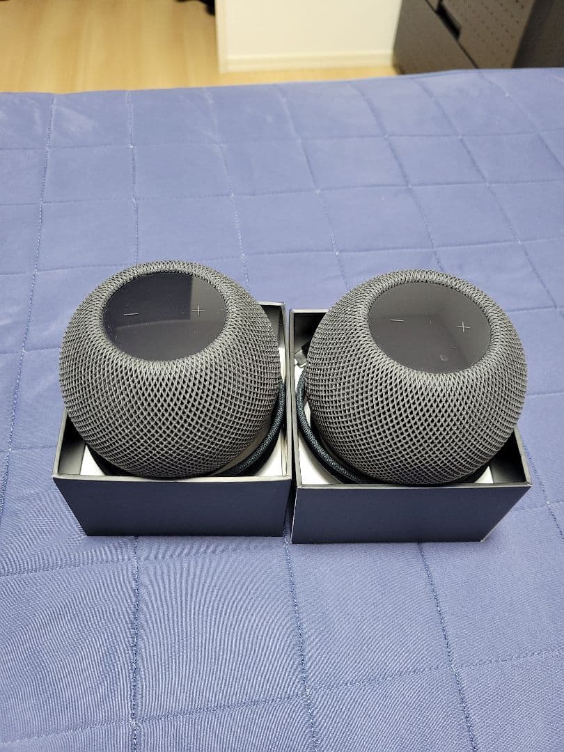 Apple Pod Mini スペースグレー 2個セット