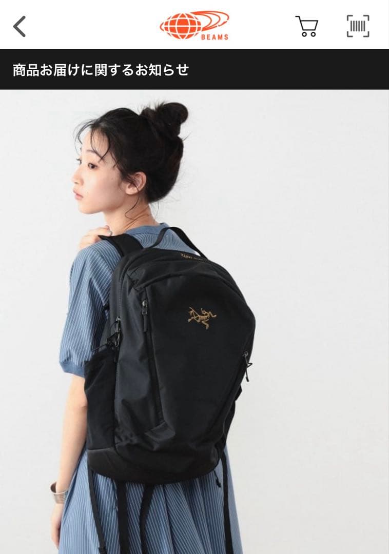 アークテリクスARC’TERYX / MANTIS 26 BACKPACK