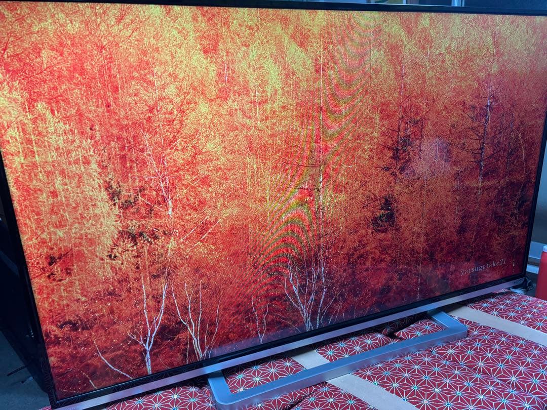 TOSHIBA LED REGZA 50G9 50型