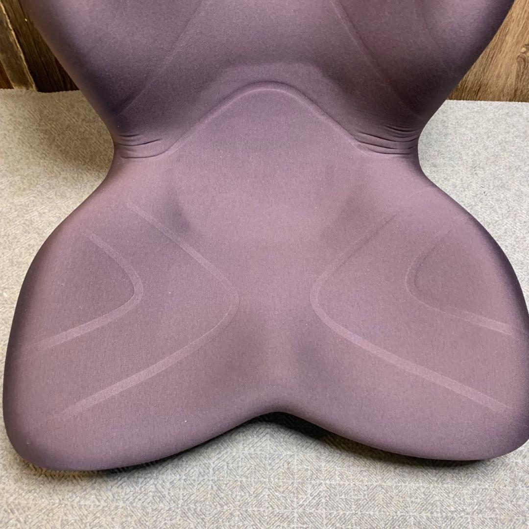 anny H875\" スタイルプレミアムMTG 姿勢矯正 骨盤サポート椅子