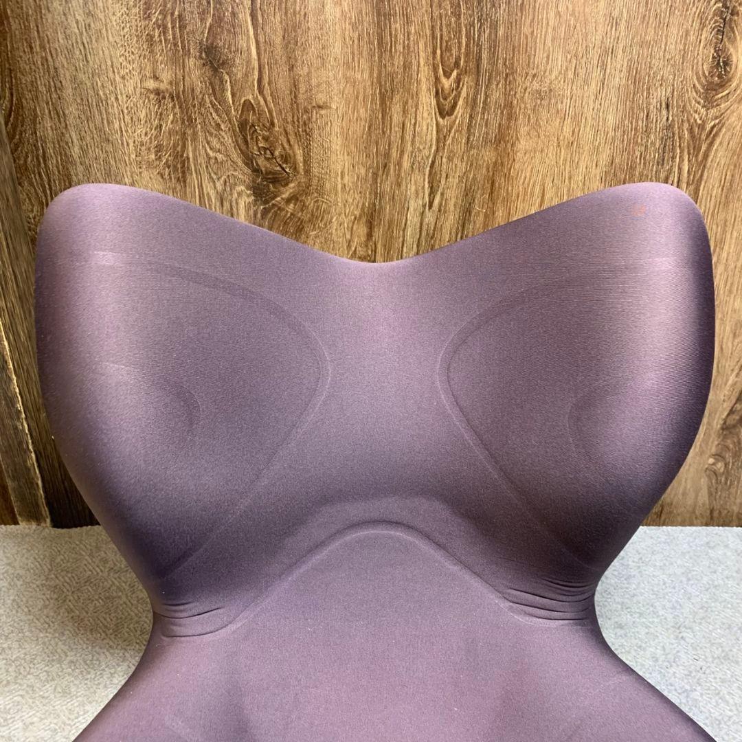 anny H875\" スタイルプレミアムMTG 姿勢矯正 骨盤サポート椅子