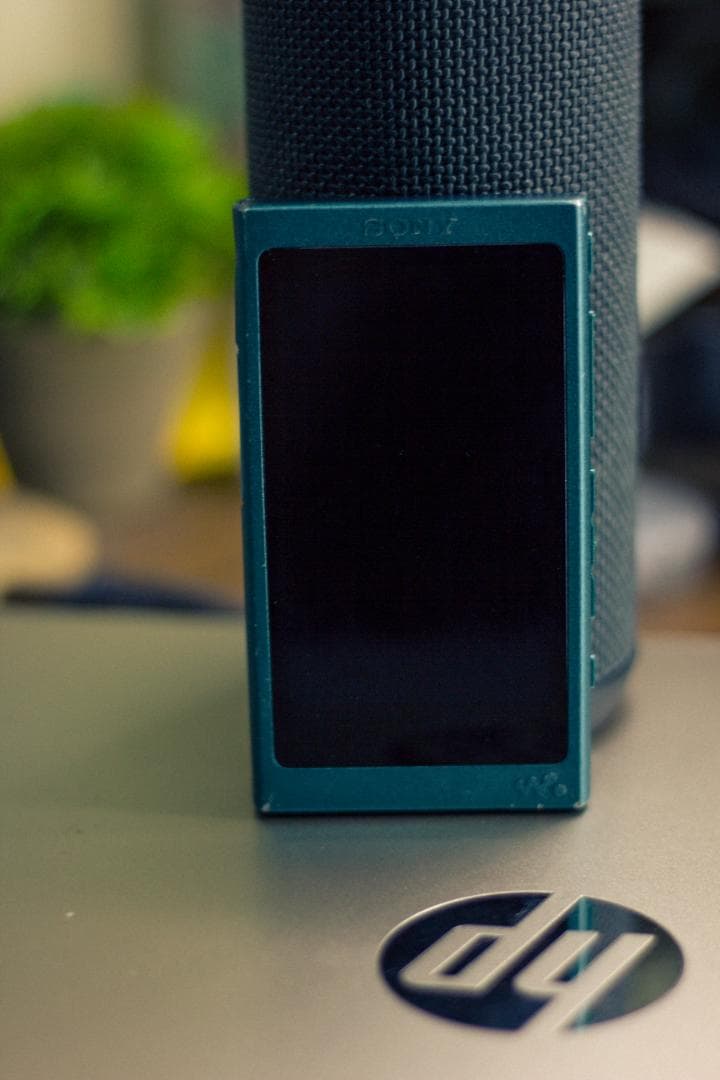 SONY ソニー WALKMAN ウォークマン NW-A35 SDカード付き