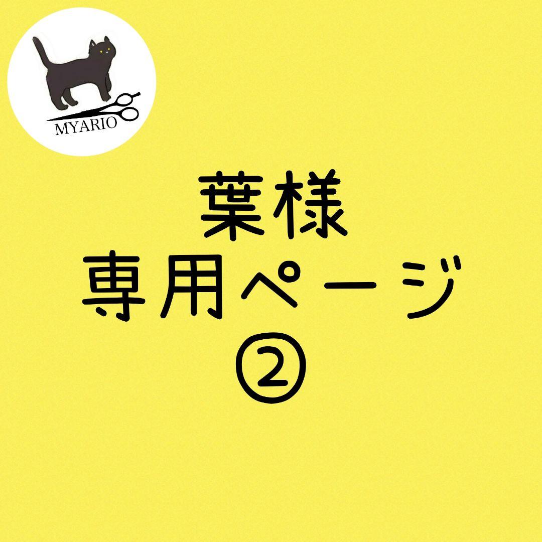 お見積もり専用ページ(#479-2)