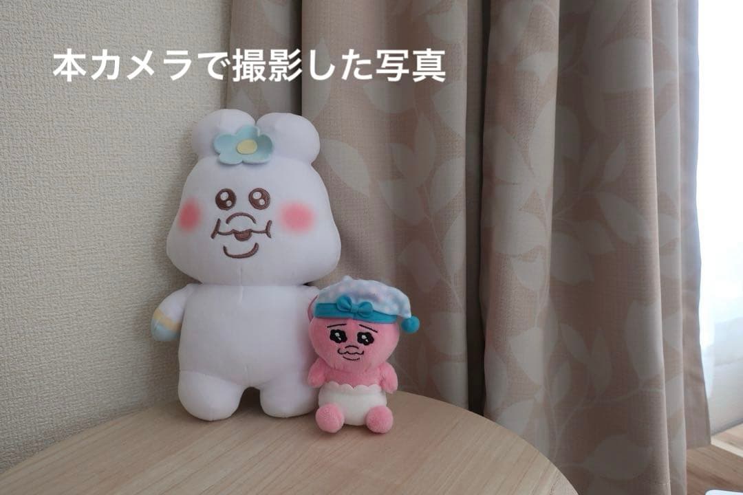 Canon PowerShot G9 X Mark II 本体と付属品