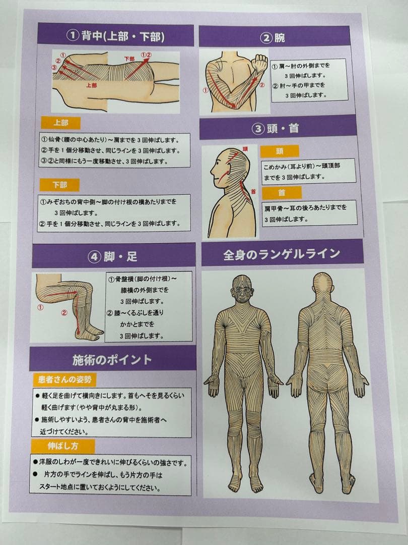 ふじた式　整体科学5枚セット