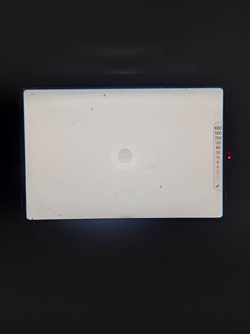 美品 ニコン FG シルバー フィルムカメラボディ モルト新品交換済 H149