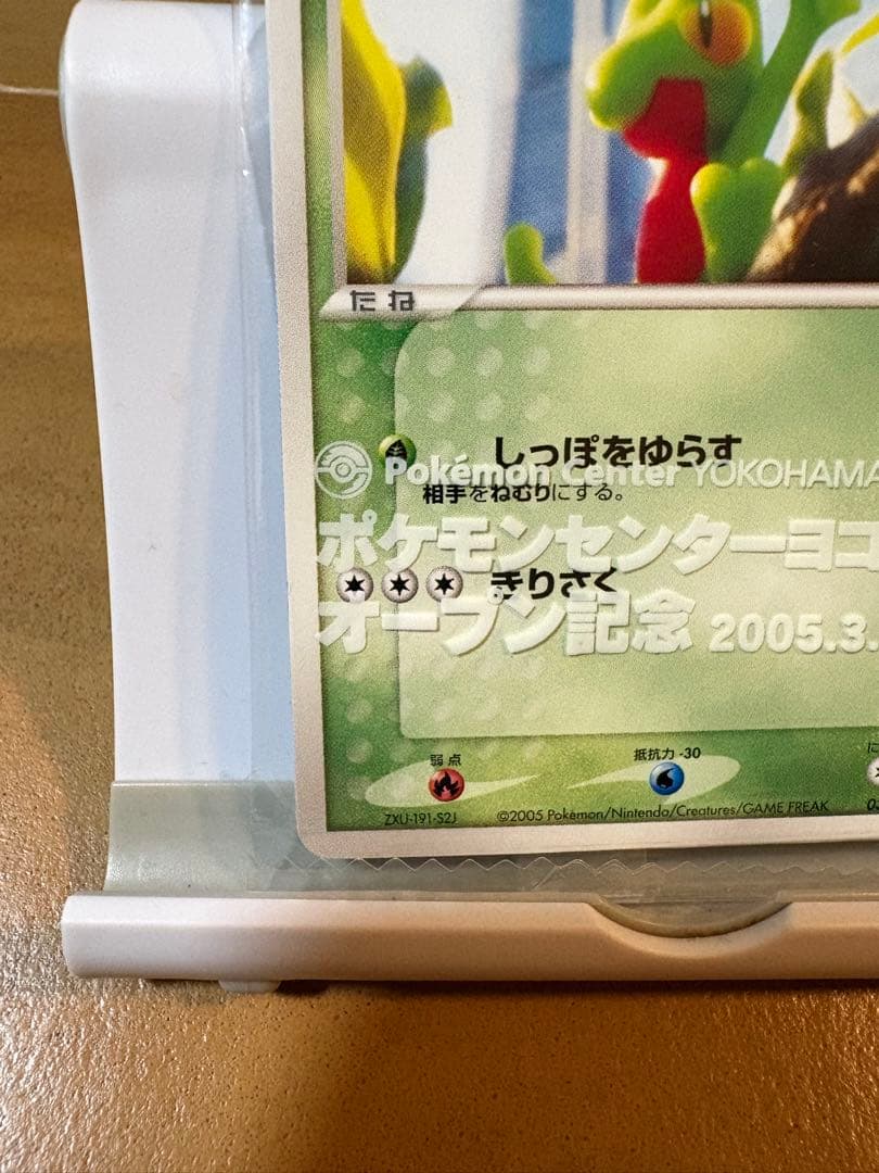 ポケモンカード　キモリ PROMO PCG-Pプロモカード 037/PCG-P