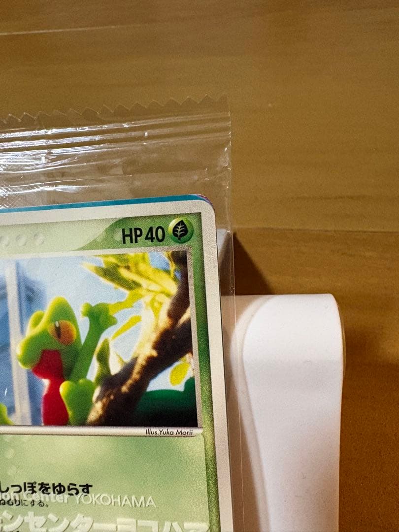 ポケモンカード　キモリ PROMO PCG-Pプロモカード 037/PCG-P